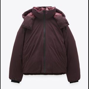 NWT Zara Limited Edition Down Coat